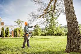 Lawn Drainage Solutions in Remsenburg Speonk, NY